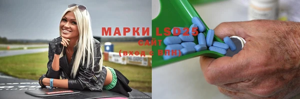 крисы Алзамай