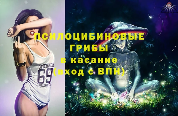 прущие крисы Алексин
