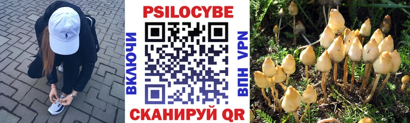 Псилоцибиновые грибы мухоморы Звенигово